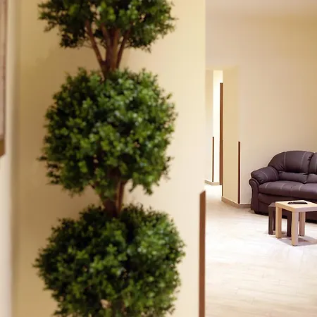 索菲亚酒店 3* 卡塔尼亚