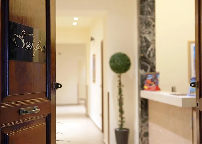 Sofia 3* Катания